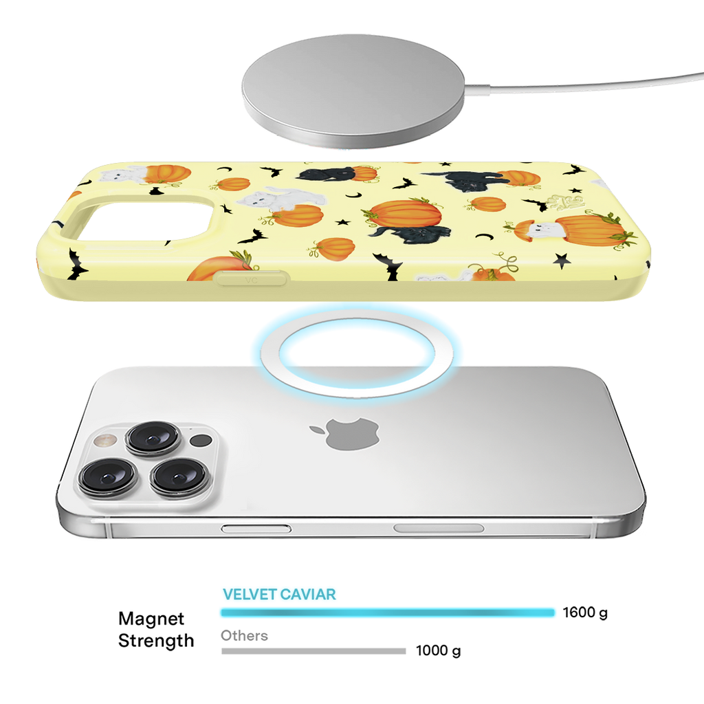 Purrfect Pumpkins iPhone Case
