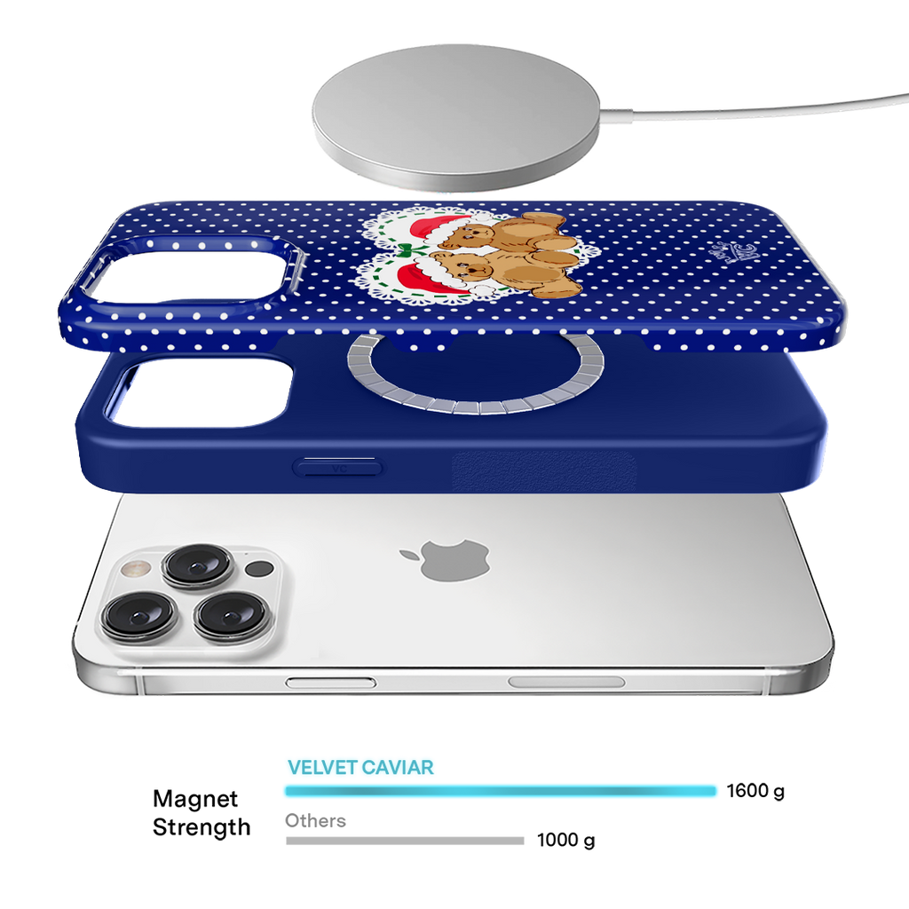 Winter Teddy iPhone Case
