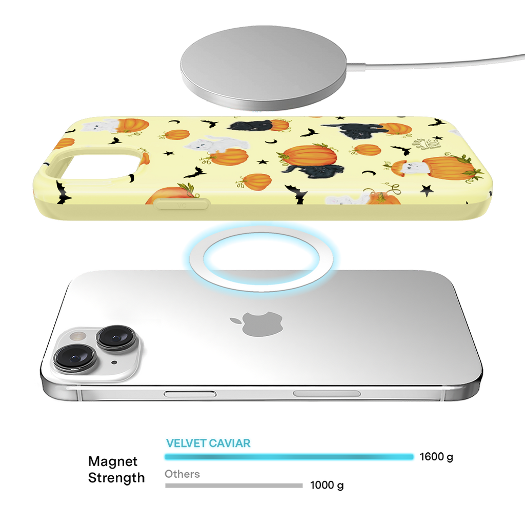 Purrfect Pumpkins iPhone Case