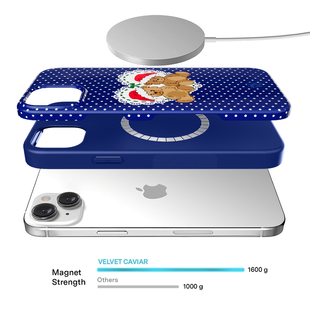 Winter Teddy iPhone Case