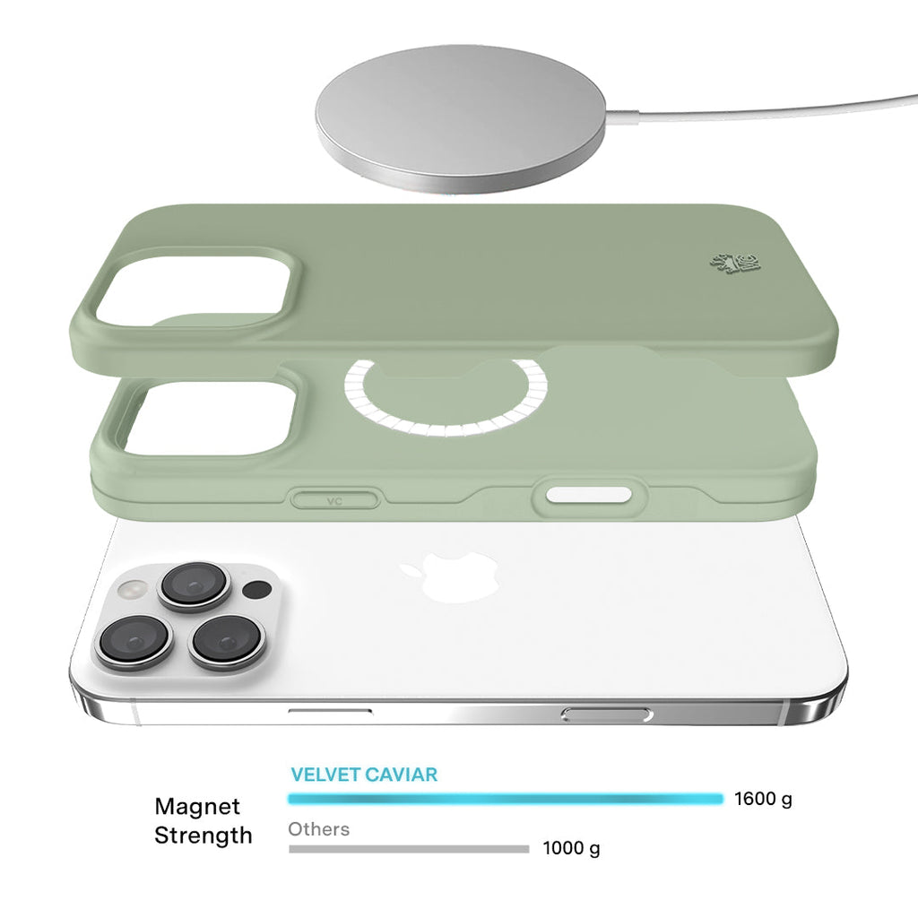 Smoky Sage iPhone Case