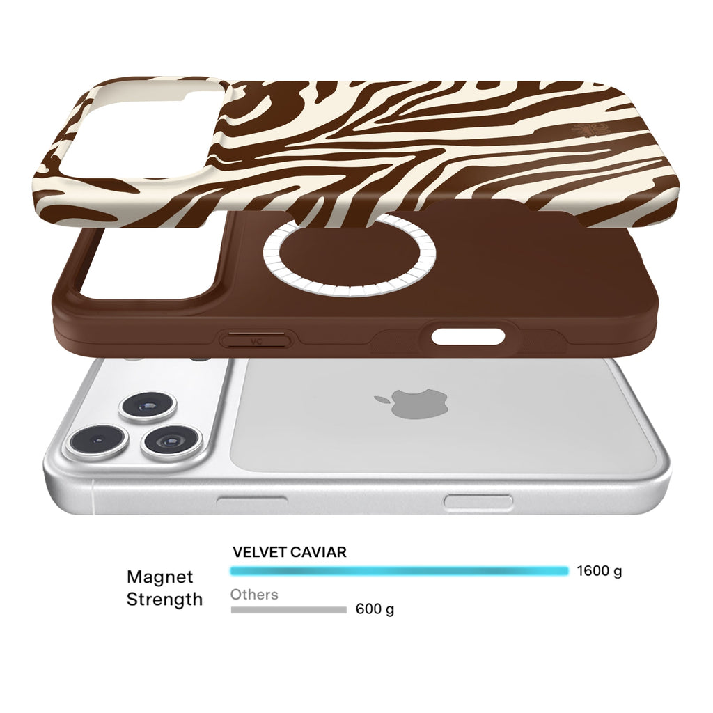 Coco Zebra iPhone Case