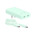 Mint Fast Charging Set, Dual Port Wall Adapter + 6ft USB-C Cable