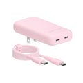 Strawberry Milk Fast Charging Set, Dual Port Wall Adapter + 6ft USB-C Cable