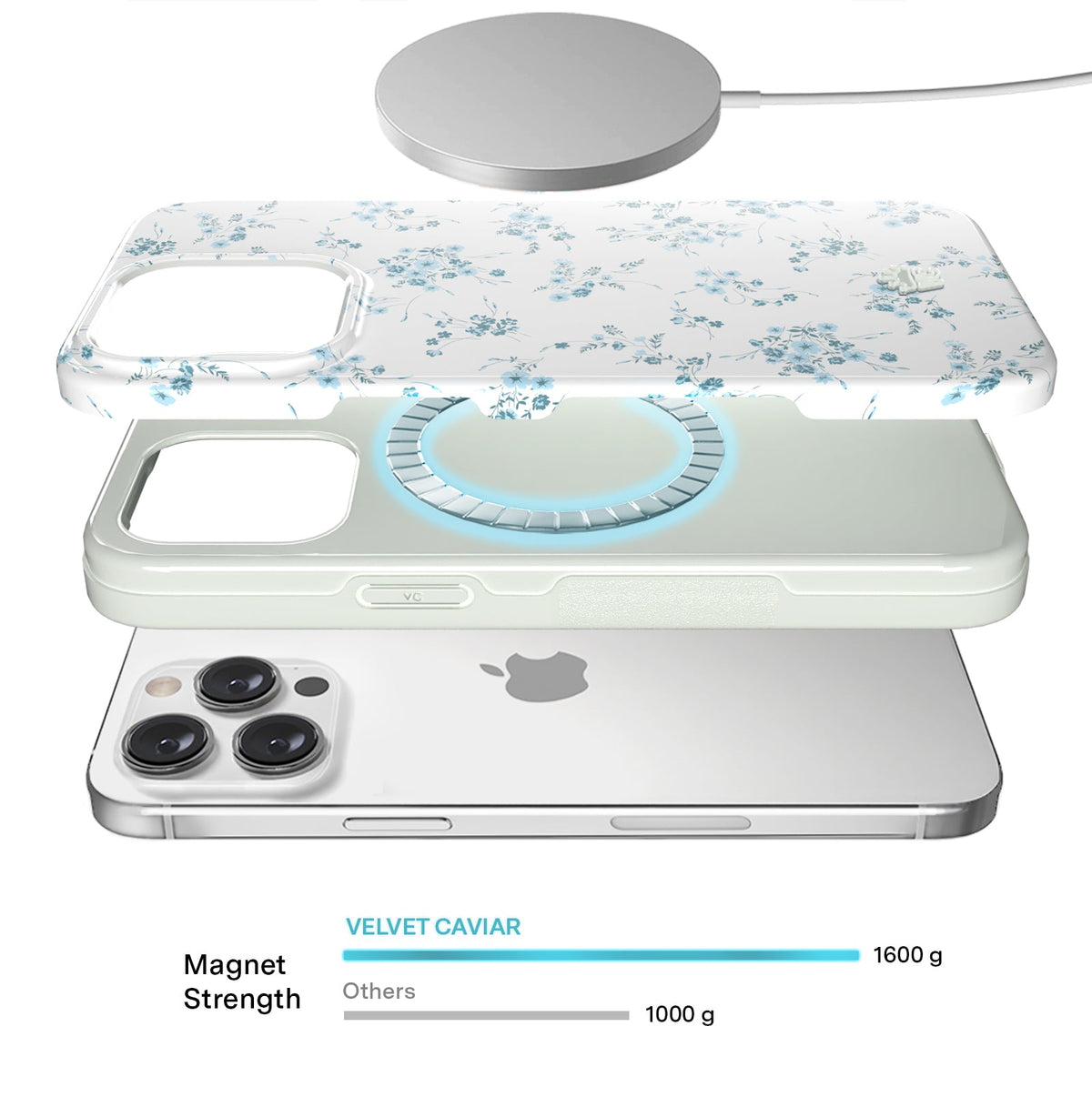 French Blue Floral iPhone Case