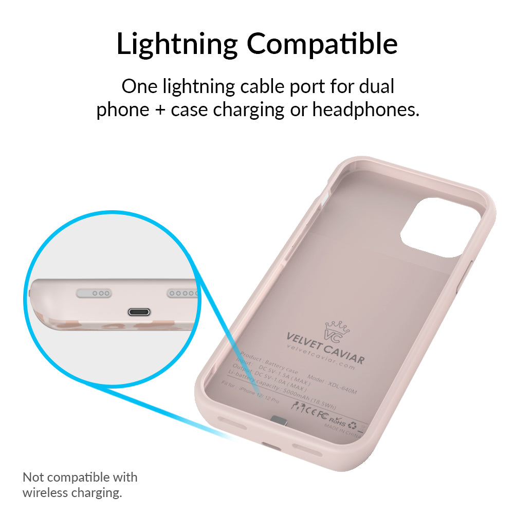 Blush Leopard iPhone Charging Case