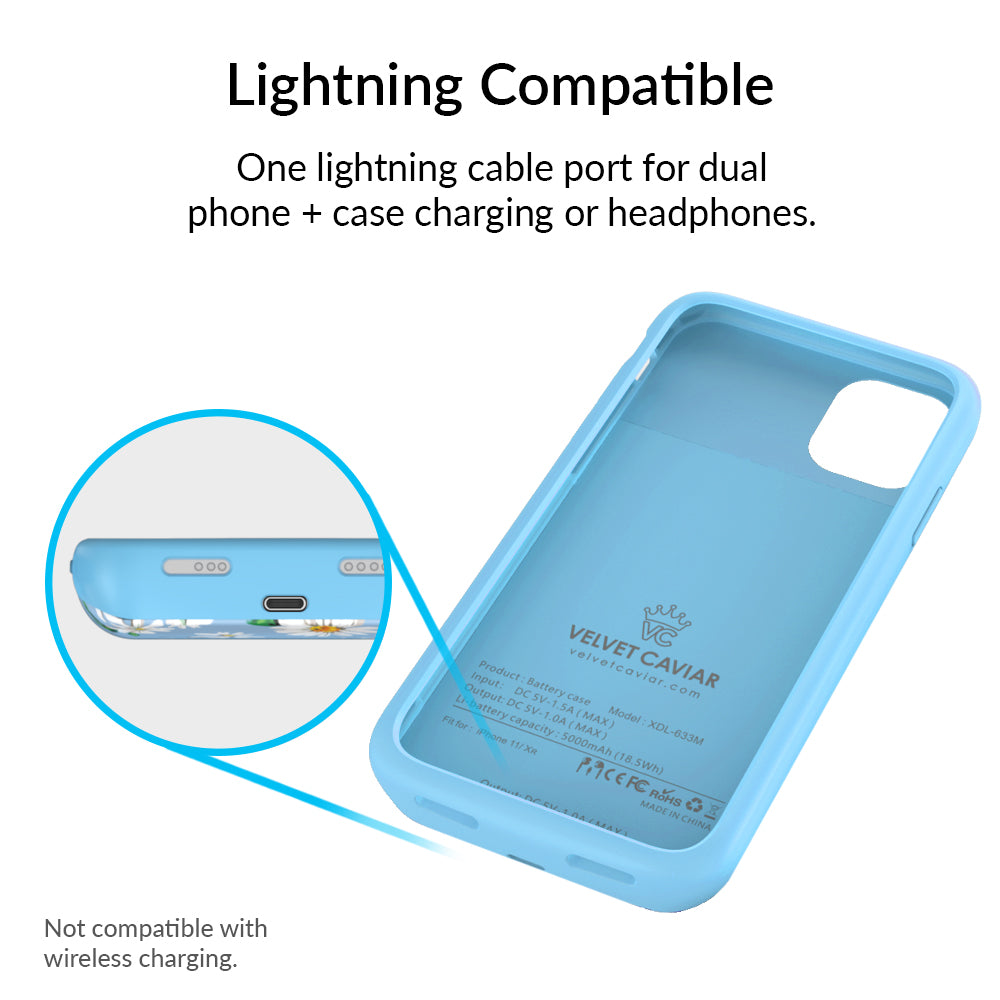 Daisy iPhone Charging Case