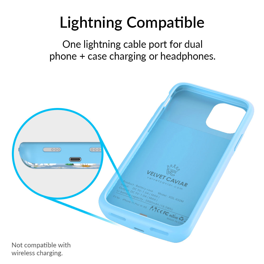 Daisy iPhone Charging Case