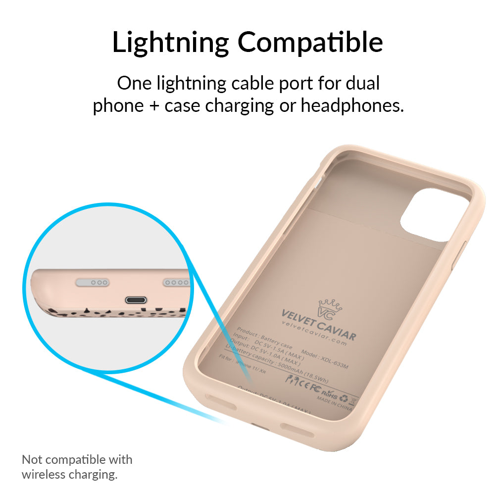 Spotted Cheetah iPhone Charging Case