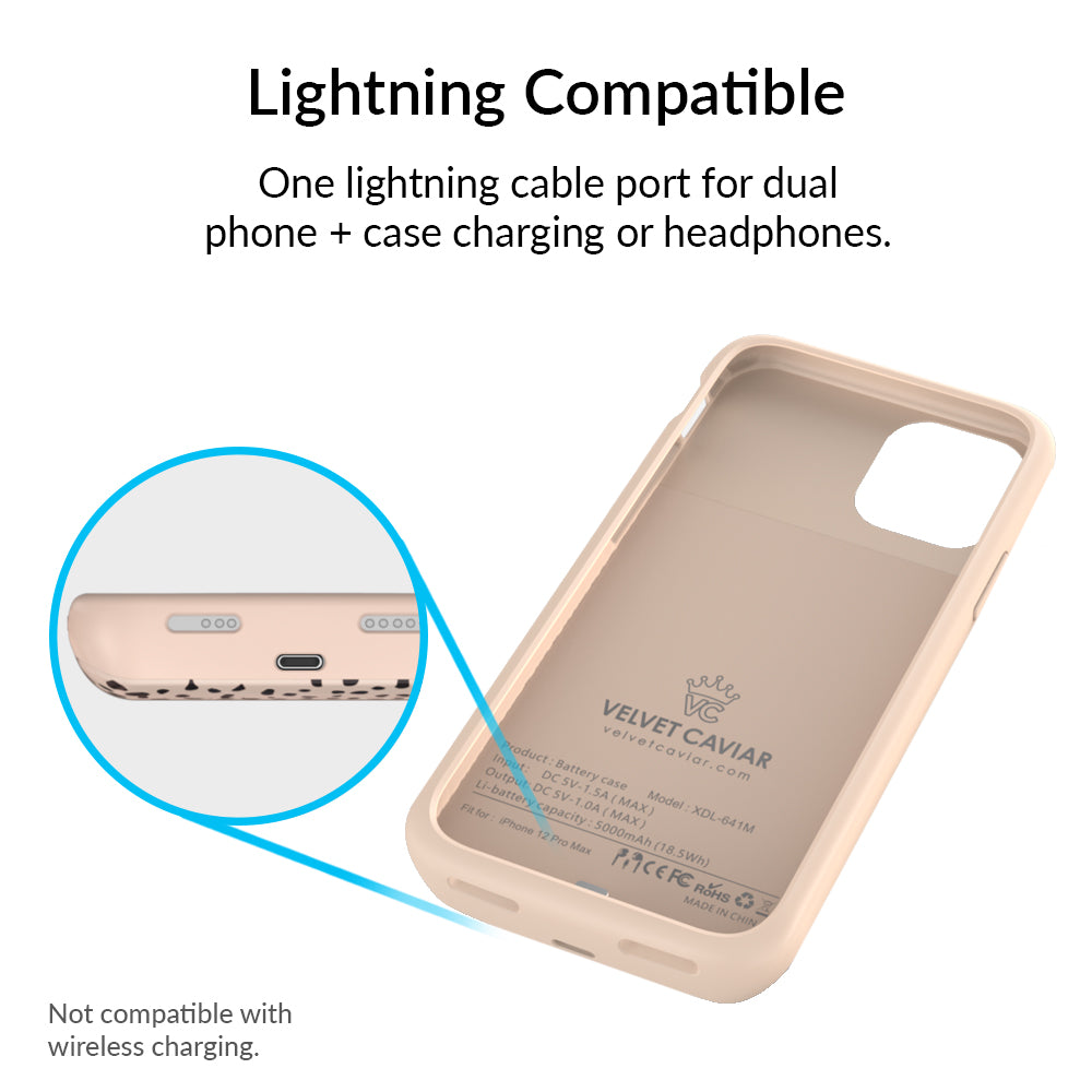 Spotted Cheetah iPhone Charging Case