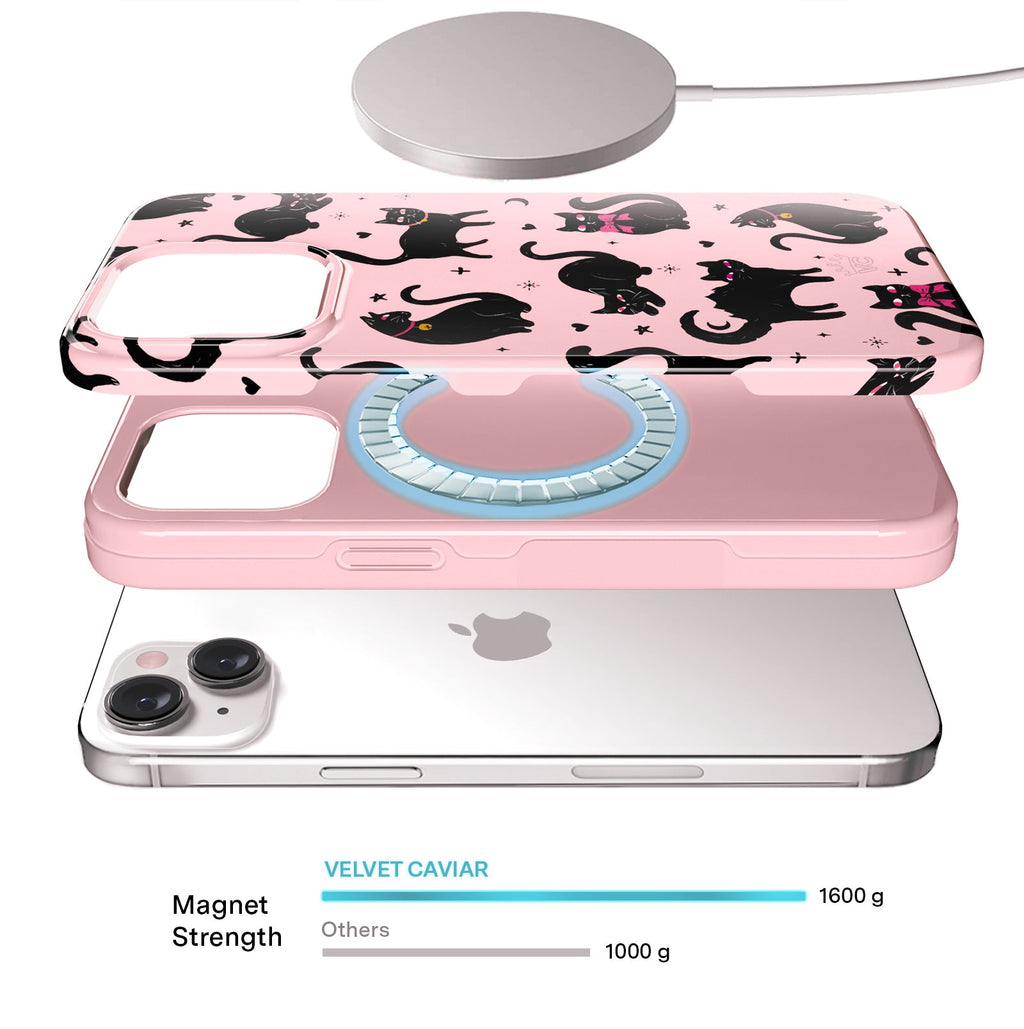 Lucky Kittens iPhone Case