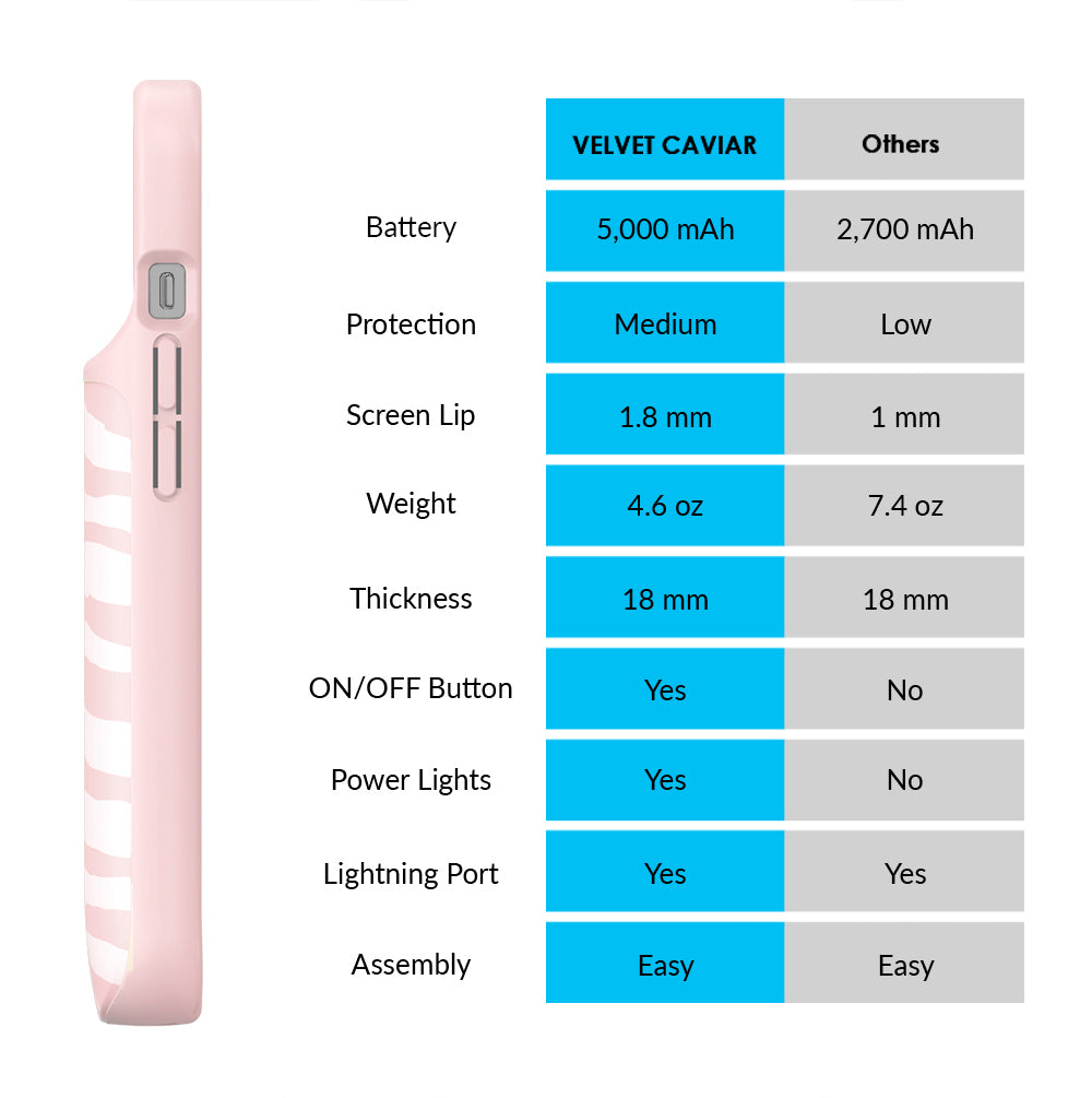 Pink Zebra iPhone Charging Case